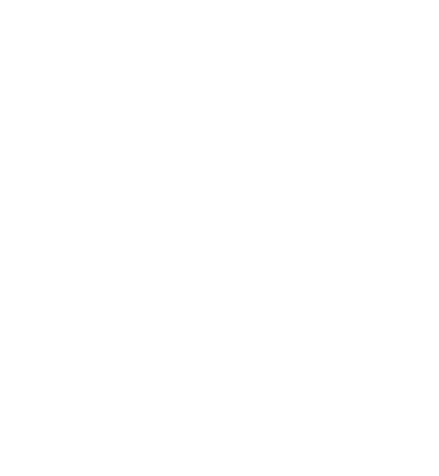 NAMFREL 